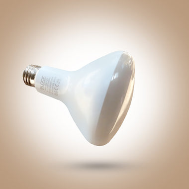 BioLight™ BR30 Bulb